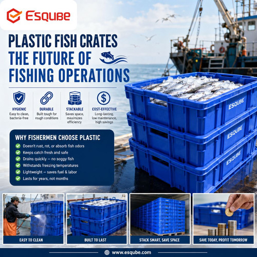Why Plastic Fish Crates Are the Future of Fishing Operations.jpg