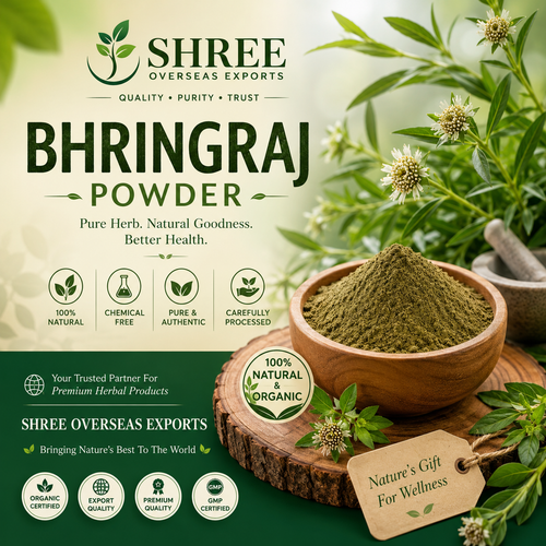 Organic Bhringraj Powder Manufacturer The Trusted Choice for Premium Herbal Ingredients.png