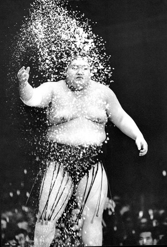sel sumo.jpg