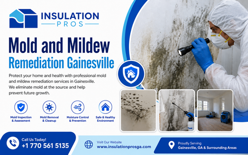 Mold and Mildew Remediation Gainesville.png