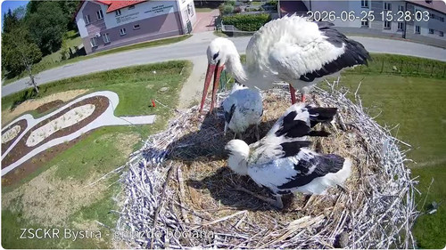MWSnap580.jpg