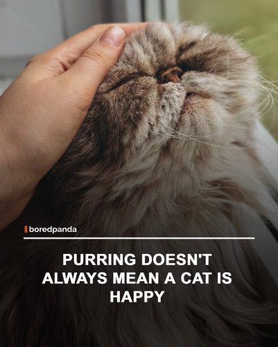 img facts.jpg