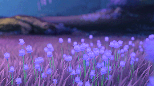 61771528347afd26037a1b321bf22bb7.gif