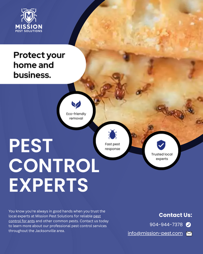 Pest Control for Ants Mission Pest Solution Experts.png