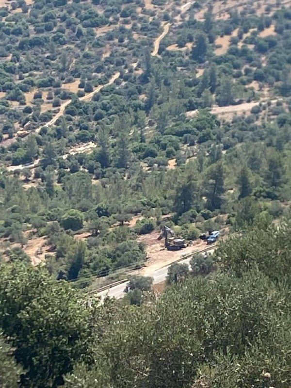 صورة الخبر