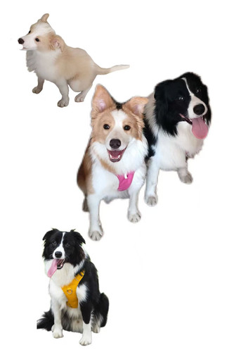 pc a365d7f45cca user1 e3fc6a90.jpg