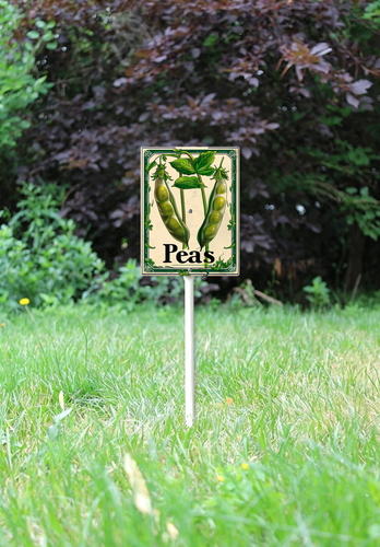25.png