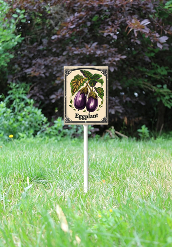 13.png