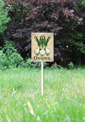 23.png