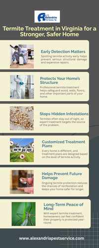 Termite Treatment in Virginia for a Stronger, Safer Home.jpg