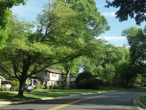 Sell Your House For Cash in North Carolina.jpg