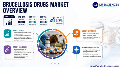 httpswww.24lifesciences.com 2026 06 24T144956.344.jpg