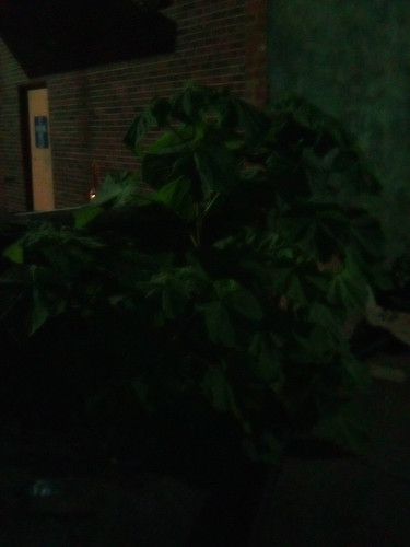 da9d864d0696.jpg