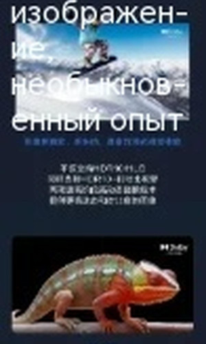 翻译后详情图0 13.jpg