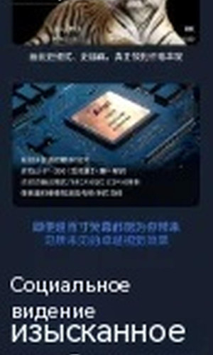 翻译后详情图0 12.jpg