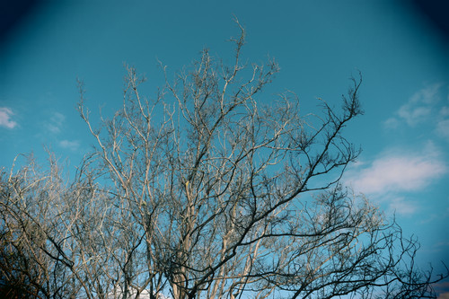 IMG 9103.jpg