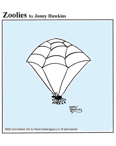 22b Spider Chute 6a68a55e44c3f 880 bordered.jpg