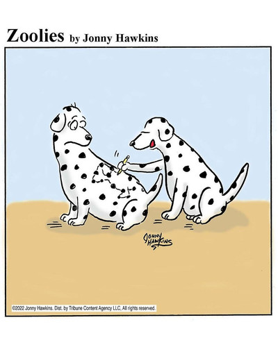 15b Dot to Dot Dalmatian 6a68a5554c07e 880 bordered.jpg