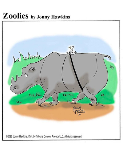 6b Rhino Rider 6a68a54b01ef1 880 bordered.jpg