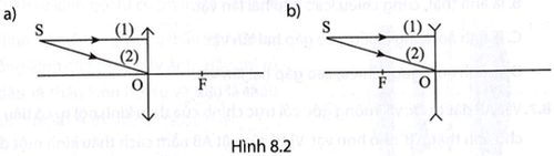 bai 8 11 trang 24 sbt khtn 9.png