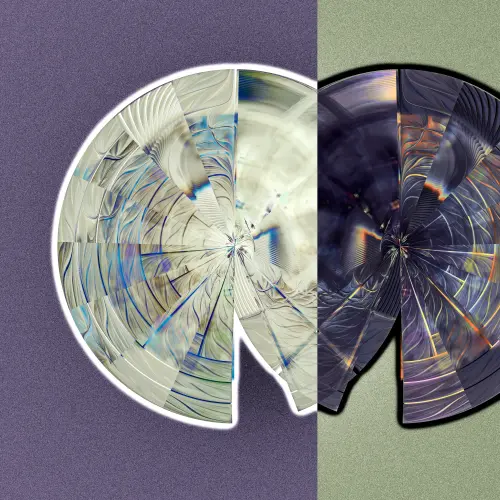 Hallucinated Transient.webp
