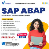 SAP ABAP RAP Course Online with Live Classes at Visualpath
