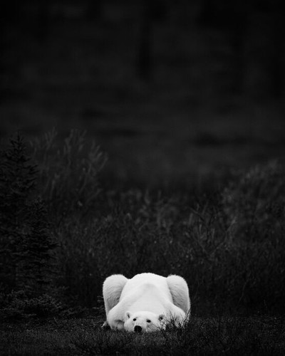 KristiOdomBoredPanda110 6a64e1f23150d 700.jpg