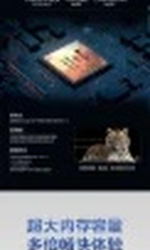 翻译后详情图0 11.jpg