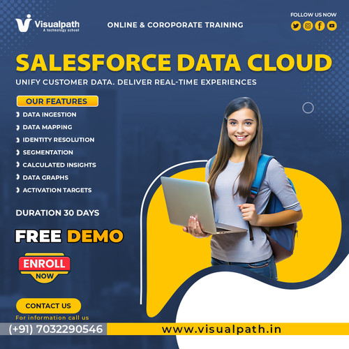 Salesforce Data Cloud Training Course | Learn from Experts.jpg