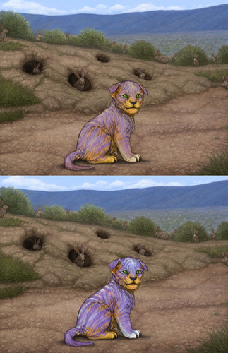 25004.jpg