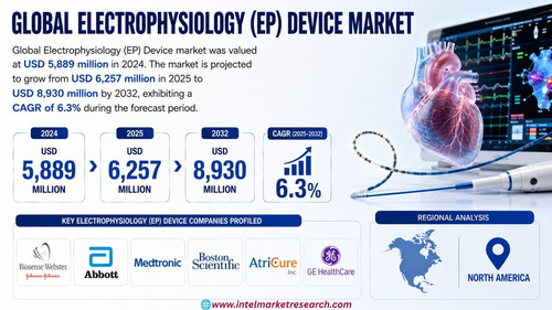 httpswww.24lifesciences.com 2026 07 28T122230.482.jpg
