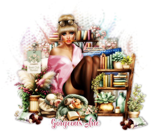 Naughty Reads cdo Anna Liwanag Gorgeous Arie.png