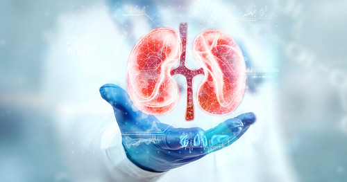 Best Urology Hospital in Gujarat - Parul Sevashram Hospital.jpg