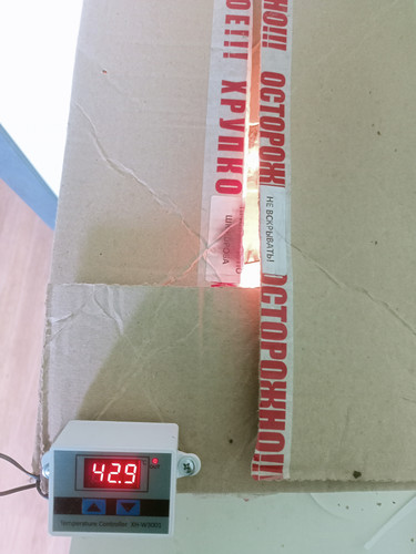1000045583.jpg