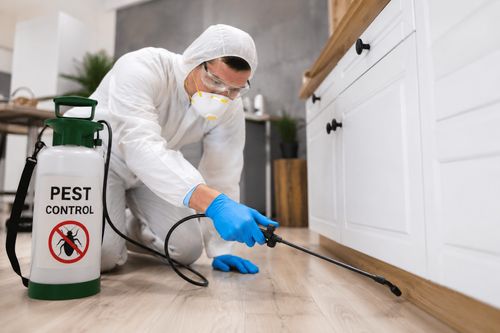 Trusted Pest Control Services in Canberra.png