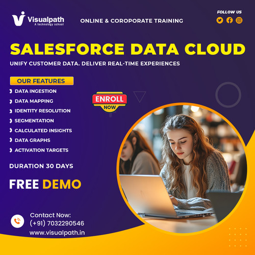 Salesforce Data Cloud Course | Expert-Led Online Training.jpg