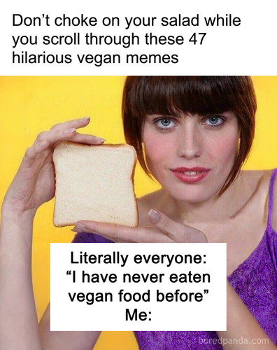 relatable funny vegan memes.jpg