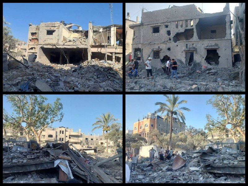 صورة الخبر
