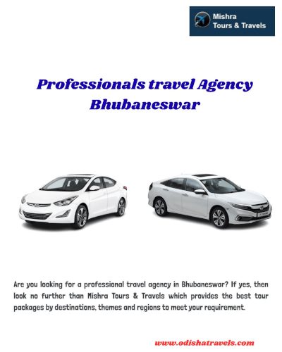 Professionals travel Agency Bhubaneswar.gif