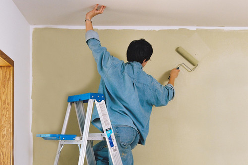 Best service for House Painting in Takaro.jpg