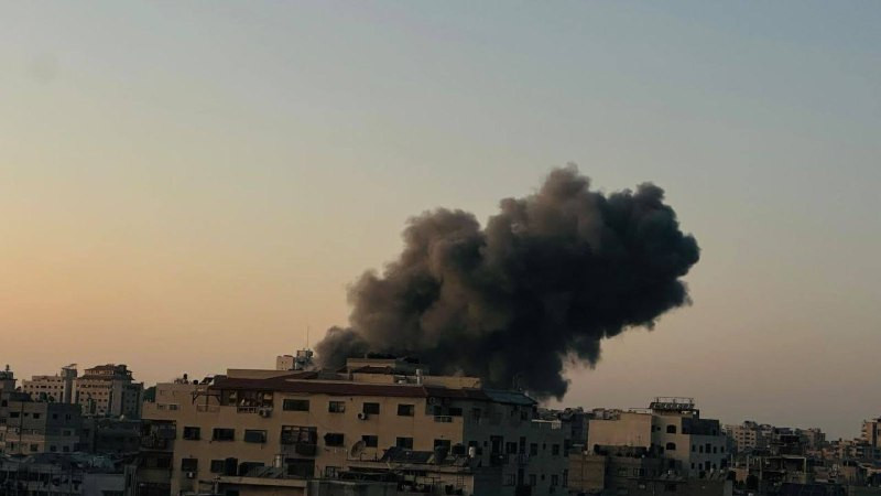 صورة الخبر
