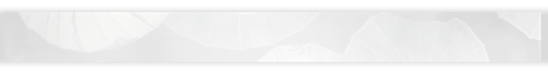 41797.png