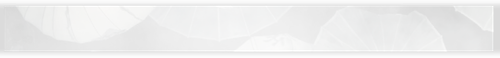 41786.png