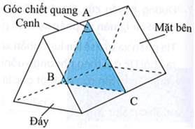 bai 7 1 trang 19 sbt khtn 9.png
