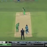 cricket.gif