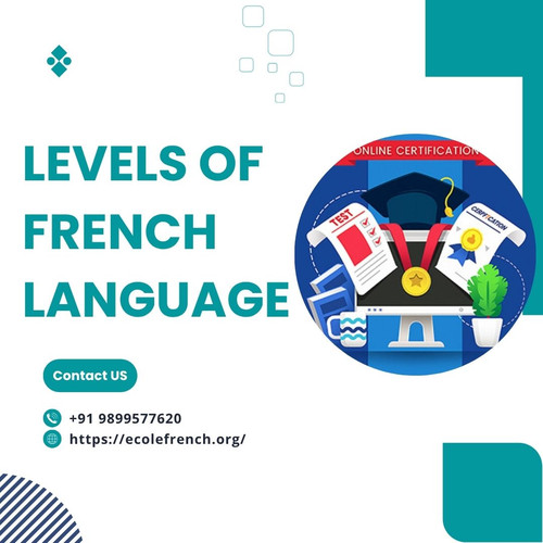 How to Progress Through the Levels of French Language Successfully.jpg