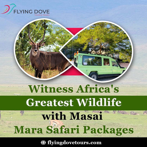Witness Africa's Greatest Wildlife with Masai Mara Safari Packages.jpg
