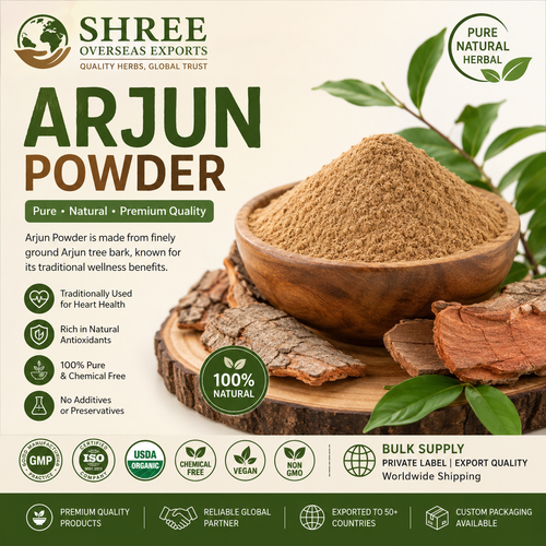 Organic Arjun Powder Wholesale – Premium Bulk Arjun Bark Powder for Global B2B Buyers.png