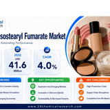 Diisostearyl Fumarate Market