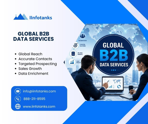 Global B2B Data services.jpg
